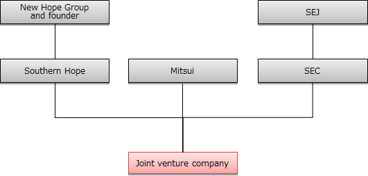 Equity structure of the joint venture company